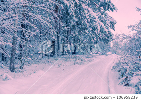 Road in the winter forest in the morning. Trees are covered with snow. Winter nature. Christmas background Road in the winter forest in the morning. Trees are covered with snow. Winter nature. Christmas background 106959239