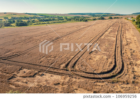 Aerial view of a wheat field. Summer rural landscape Aerial view of a wheat field. Summer rural landscape 106959256