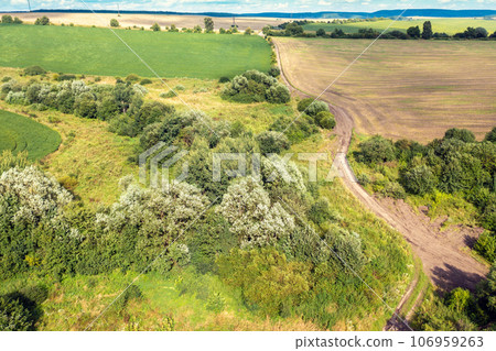 View from above of countryside. View of cultivated fields and green grooves on the hills in summer 106959263