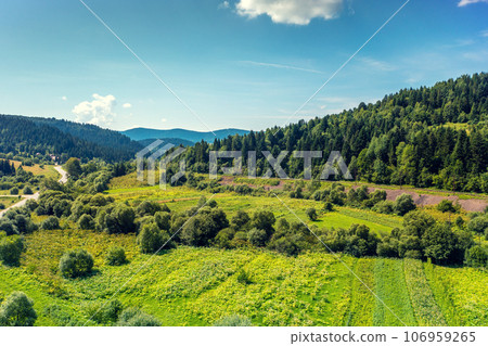 View of the meadow on the slope of the mountain on a summer sunny day 106959265