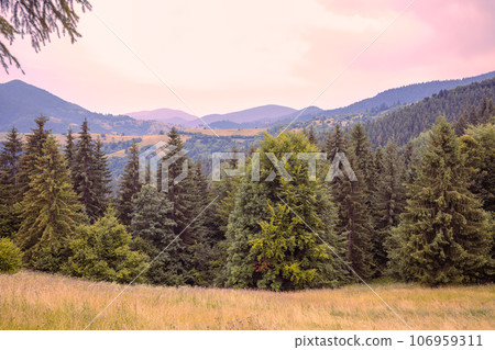 View of the slopes of mountains during sunset in summer 106959311