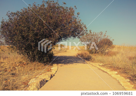 The trail to Mount Arbel in autumn. Israel 106959681