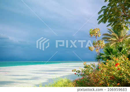 Tropical Paradise. Palm trees on the beach of the Dead Sea. Dead Sea Coast with Tropical Plants. Tropical nature landscape Tropical Paradise. Palm trees on the beach of the Dead Sea. Dead Sea Coast with Tropical Plants. Tropical nature landscape 106959683
