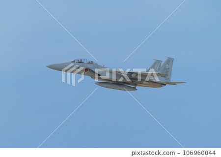 航空自衛隊第303中隊F-15DJ鷹 106960044