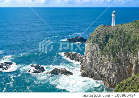 高知縣、足折岬展望台、燈塔、天狗之花 106960454