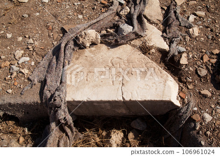 Arabic letters engraved on marble in the ancient city of Knidos, one of the cities of Anatolia Arabic letters engraved on marble in the ancient city of Knidos, one of the cities of Anatolia 106961024