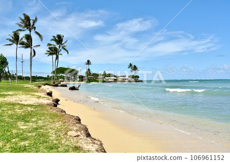 夏威夷的假期 夏威夷的假期 106961152