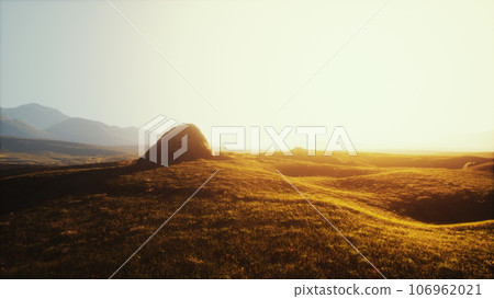Spring meadow with flowers on sunset Spring meadow with flowers on sunset 106962021