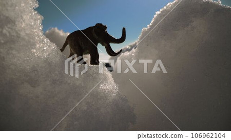 Beautiful winter landscape with mountains, macro photography. Winter snowy landscape. 106962104