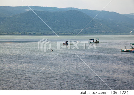 Touristic sightseeing boats around Ulubat or Uluabat Lake in Bursa, Turkey, June 25 2023 Touristic sightseeing boats around Ulubat or Uluabat Lake in Bursa, Turkey, June 25 2023 106962241