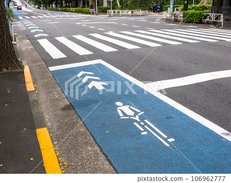 路面上塗有藍色帶子的“普通自行車道” 路面上塗有藍色帶子的“普通自行車道” 106962777