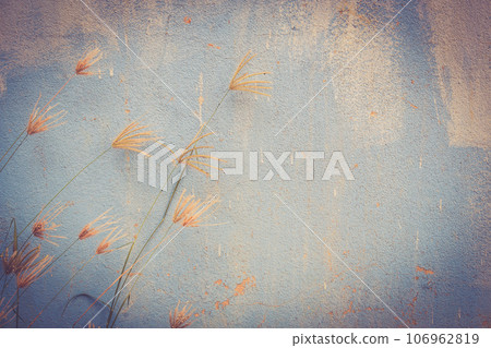 Grass flower with grunge background Grass flower with grunge background 106962819