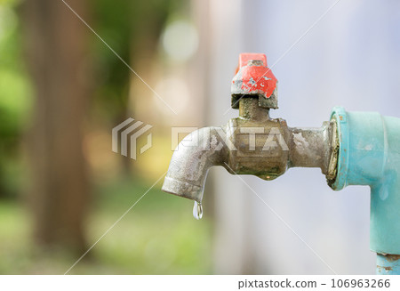 Close up to faucet water in the garden with blur background. 106963266