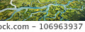 Aerial view of a river delta with lush green vegetation and winding waterways 106963937