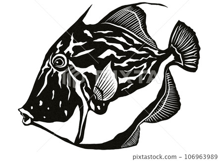 Simple filefish illustration Simple filefish illustration 106963989