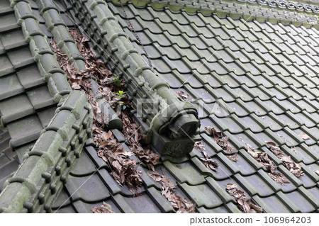 Tile roof image 106964203