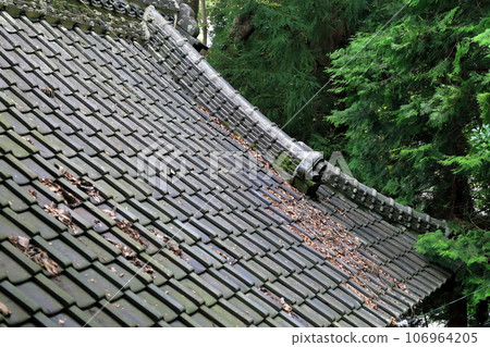 Tile roof image 106964205