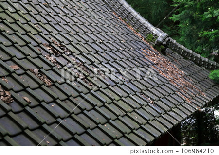 Tile roof image Tile roof image 106964210