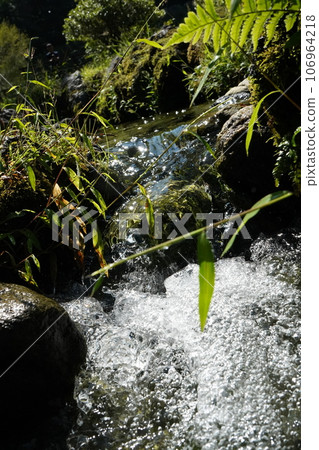 Senoragi of Ogawa Senoragi of Ogawa 106964218