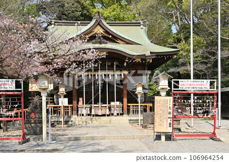 Kawaguchi Walk: Aoki Hikawa Shrine Worship Hall Approach Aoki, Kawaguchi City 106964254