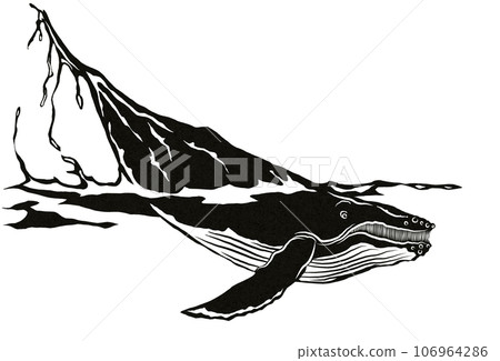 鯨魚的插圖 106964286