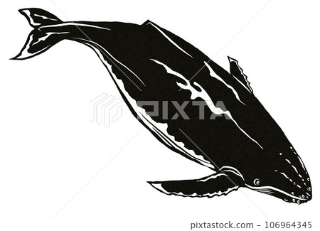 Migrating whale illustration 106964345