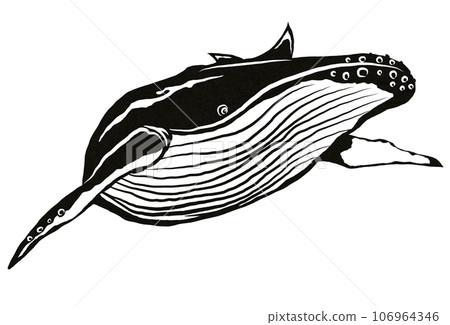 Cutout of a migrating whale Cutout of a migrating whale 106964346