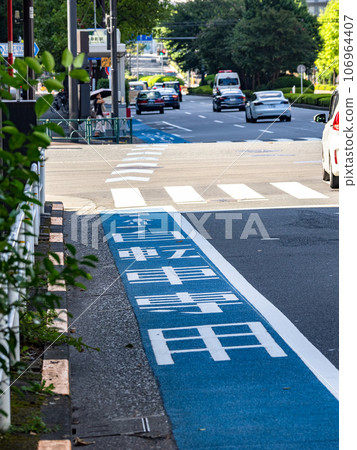 路面上塗有藍色帶子的“普通自行車道” 106964407