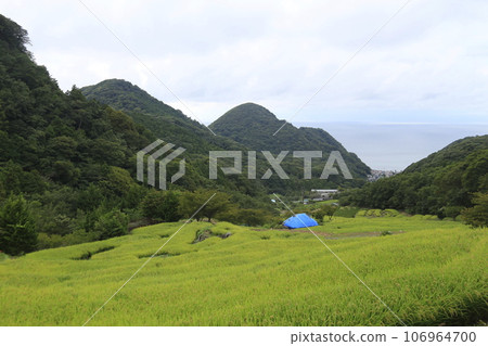 Beautiful rice terrace scenery Beautiful rice terrace scenery 106964700