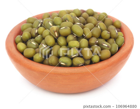 Mung bean Mung bean 106964880