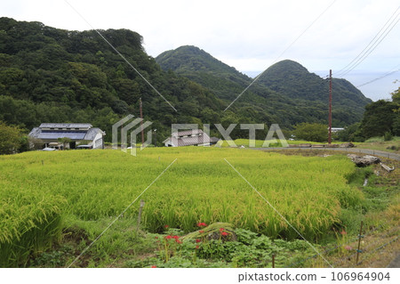 Beautiful rice terrace scenery Beautiful rice terrace scenery 106964904