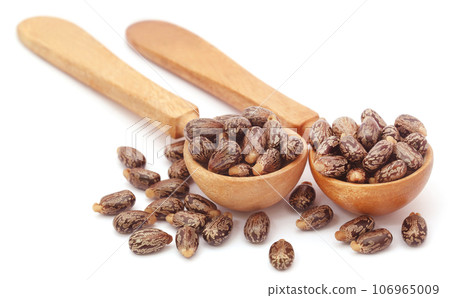 Castor beans in wooden spoon 106965009