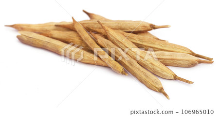 Fresh mustard pod 106965010