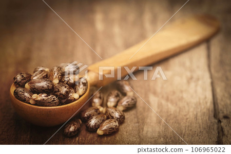 Castor beans 106965022