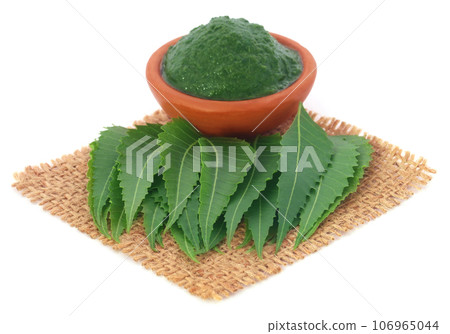 Medicinal neem leaves 106965044