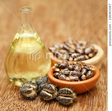 Castor beans and oil Castor beans and oil 106965067