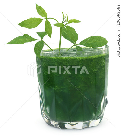 Vitex Negundo leaves with juice 106965068