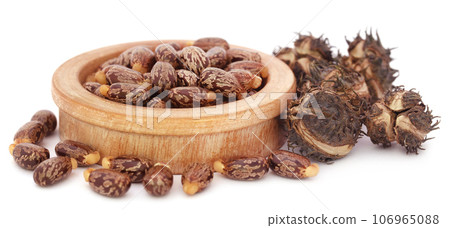 Castor beans 106965088