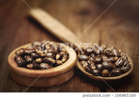 Castor beans 106965100