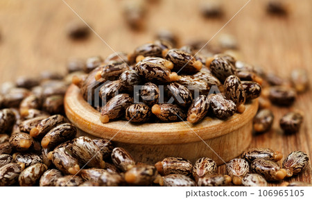 Castor beans Castor beans 106965105