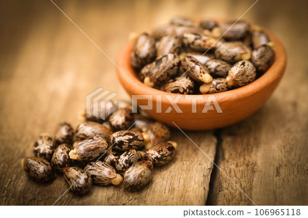 Castor beans 106965118