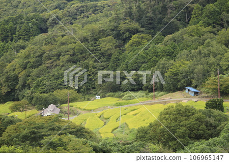 Beautiful rice terrace scenery 106965147