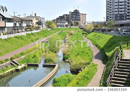 Kawaguchi Walk: Former Shiba River, Class 1 River, Aoki, Kawaguchi City Kawaguchi Walk: Former Shiba River, Class 1 River, Aoki, Kawaguchi City 106965384
