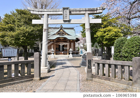 川口散步：川口市南鳩谷十二所神社 106965398