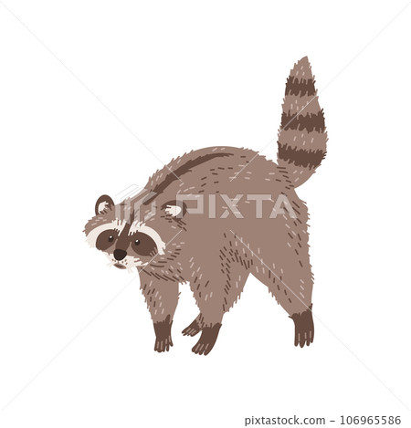 Funny standing raccoon with striped tail up flat style Funny standing raccoon with striped tail up flat style 106965586