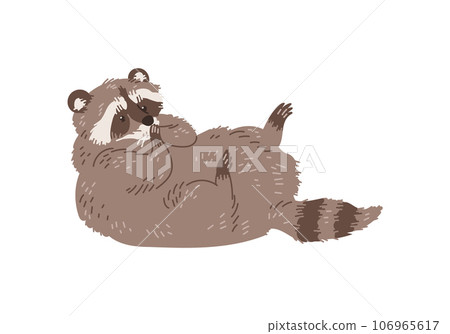Adorable raccoon lying on the back cartoon flat vector illustration isolated. Adorable raccoon lying on the back cartoon flat vector illustration isolated. 106965617