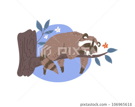 Funny adorable raccoon sleeping on tree, flat vector illustration isolated. 106965618