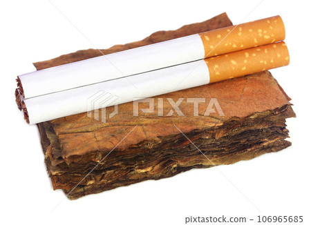 Dry tobacco leaves with filter cigarette Dry tobacco leaves with filter cigarette 106965685