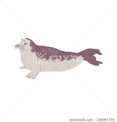 Seal or sea calf mammal marine animal character vector illustration isolated. 106965759