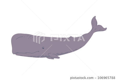 Vector illustration of cashalot, isolated on white background 106965788